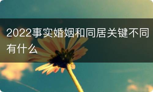 2022事实婚姻和同居关键不同有什么