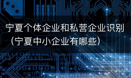 宁夏个体企业和私营企业识别（宁夏中小企业有哪些）