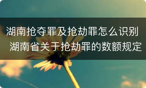 湖南抢夺罪及抢劫罪怎么识别 湖南省关于抢劫罪的数额规定