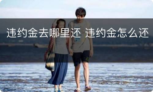 违约金去哪里还 违约金怎么还