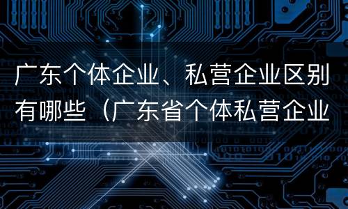 广东个体企业、私营企业区别有哪些（广东省个体私营企业协会）