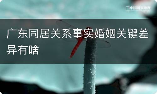 广东同居关系事实婚姻关键差异有啥