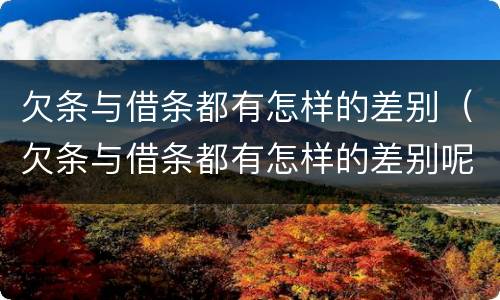 欠条与借条都有怎样的差别（欠条与借条都有怎样的差别呢）