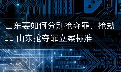 山东要如何分别抢夺罪、抢劫罪 山东抢夺罪立案标准