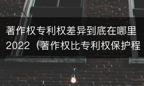 著作权专利权差异到底在哪里2022（著作权比专利权保护程度低）