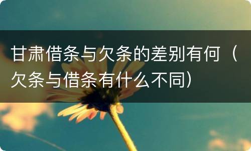 甘肃借条与欠条的差别有何（欠条与借条有什么不同）