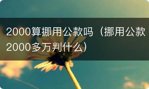 2000算挪用公款吗（挪用公款2000多万判什么）