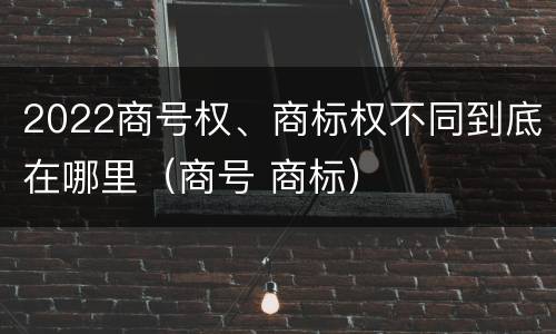 2022商号权、商标权不同到底在哪里（商号 商标）