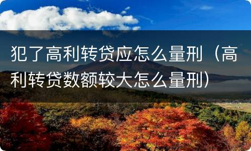 犯了高利转贷应怎么量刑（高利转贷数额较大怎么量刑）