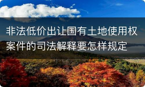 非法低价出让国有土地使用权案件的司法解释要怎样规定