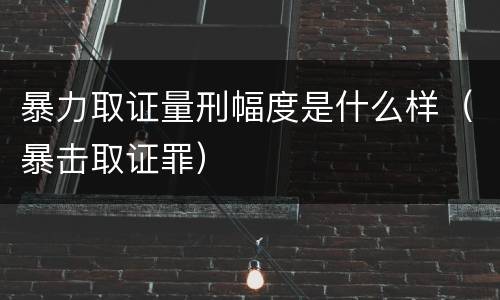 暴力取证量刑幅度是什么样（暴击取证罪）
