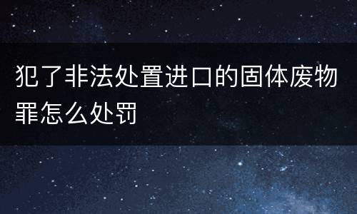 犯了非法处置进口的固体废物罪怎么处罚
