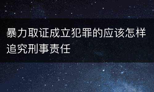 暴力取证成立犯罪的应该怎样追究刑事责任