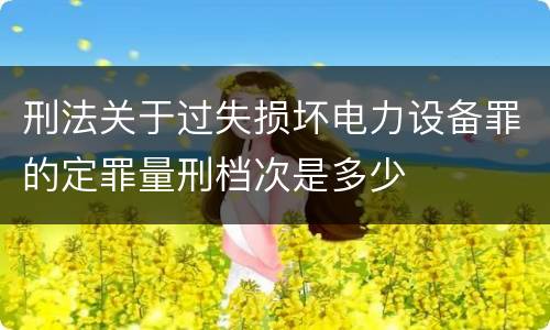 刑法关于过失损坏电力设备罪的定罪量刑档次是多少