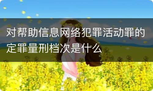 对帮助信息网络犯罪活动罪的定罪量刑档次是什么