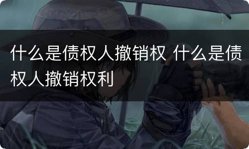 什么是债权人撤销权 什么是债权人撤销权利