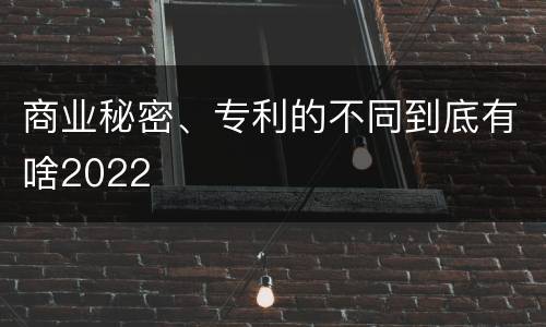 商业秘密、专利的不同到底有啥2022