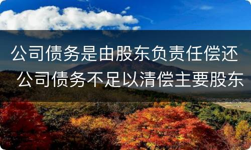 公司债务是由股东负责任偿还 公司债务不足以清偿主要股东是否应承担责任