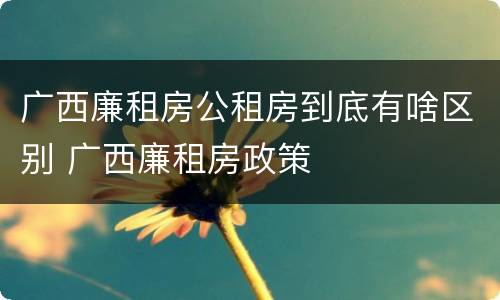 广西廉租房公租房到底有啥区别 广西廉租房政策