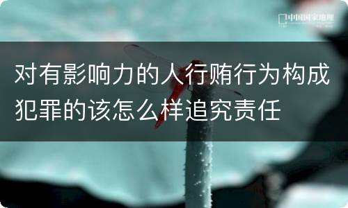 对有影响力的人行贿行为构成犯罪的该怎么样追究责任