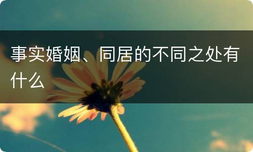 事实婚姻、同居的不同之处有什么