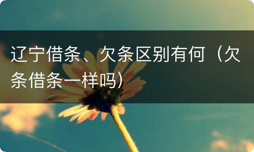 辽宁借条、欠条区别有何（欠条借条一样吗）