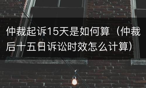 仲裁起诉15天是如何算（仲裁后十五日诉讼时效怎么计算）