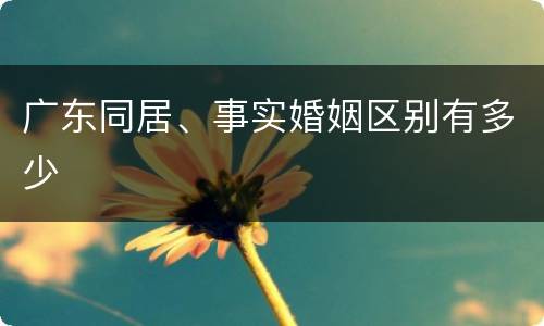 广东同居、事实婚姻区别有多少
