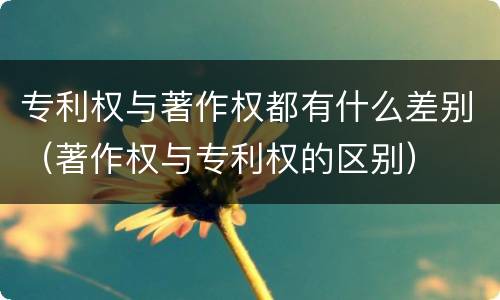 专利权与著作权都有什么差别（著作权与专利权的区别）