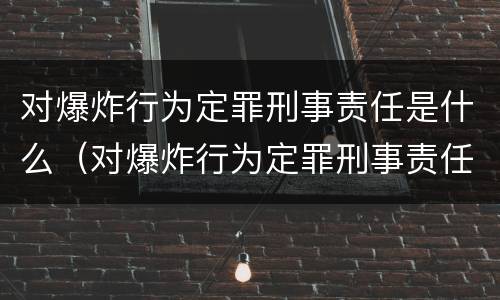 对爆炸行为定罪刑事责任是什么（对爆炸行为定罪刑事责任是什么）