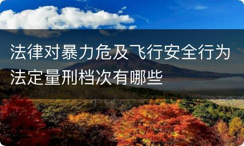 法律对暴力危及飞行安全行为法定量刑档次有哪些
