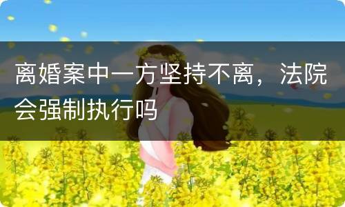 离婚案中一方坚持不离，法院会强制执行吗