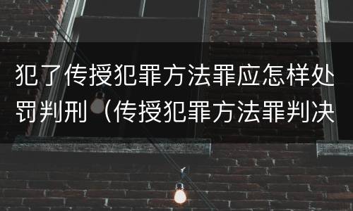犯了传授犯罪方法罪应怎样处罚判刑（传授犯罪方法罪判决）