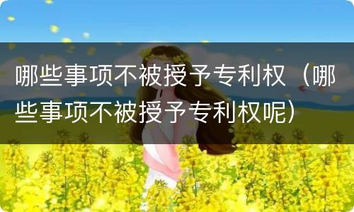哪些事项不被授予专利权（哪些事项不被授予专利权呢）