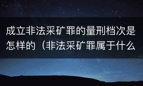 成立非法采矿罪的量刑档次是怎样的（非法采矿罪属于什么类型罪）
