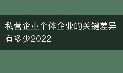 私营企业个体企业的关键差异有多少2022