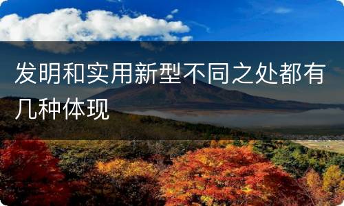 发明和实用新型不同之处都有几种体现