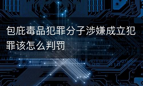 包庇毒品犯罪分子涉嫌成立犯罪该怎么判罚