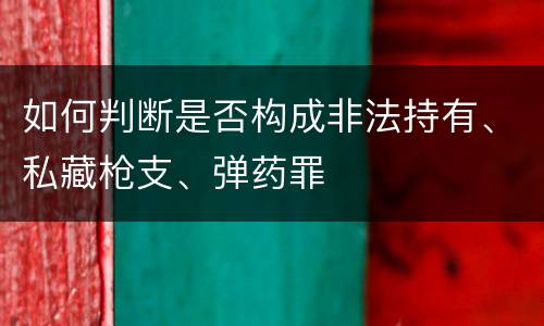 如何判断是否构成非法持有、私藏枪支、弹药罪