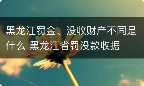 黑龙江罚金、没收财产不同是什么 黑龙江省罚没款收据