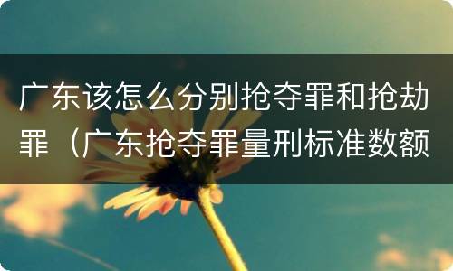 广东该怎么分别抢夺罪和抢劫罪（广东抢夺罪量刑标准数额）