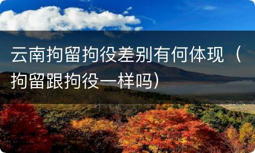 云南拘留拘役差别有何体现（拘留跟拘役一样吗）