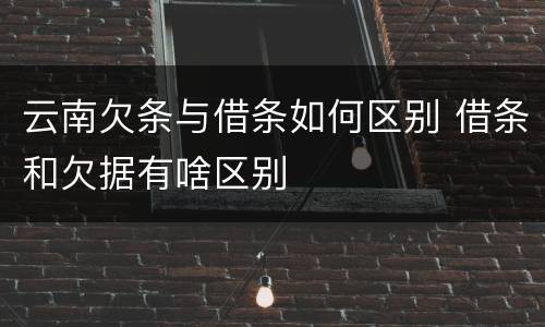 云南欠条与借条如何区别 借条和欠据有啥区别