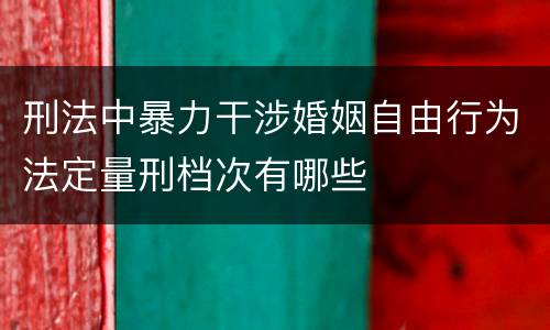 刑法中暴力干涉婚姻自由行为法定量刑档次有哪些