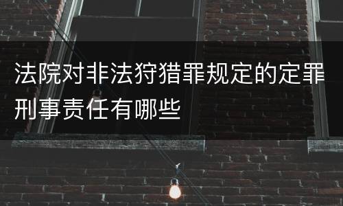 法院对非法狩猎罪规定的定罪刑事责任有哪些