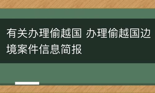 有关办理偷越国 办理偷越国边境案件信息简报
