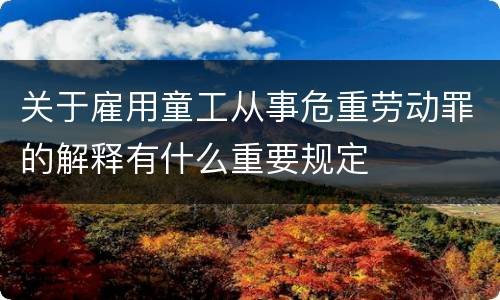关于雇用童工从事危重劳动罪的解释有什么重要规定