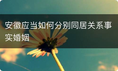 安徽应当如何分别同居关系事实婚姻