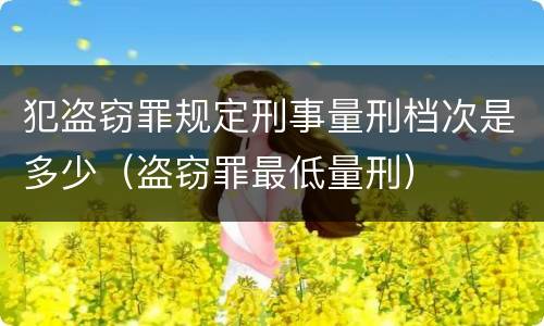 犯盗窃罪规定刑事量刑档次是多少（盗窃罪最低量刑）