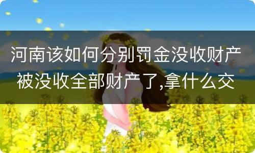 河南该如何分别罚金没收财产 被没收全部财产了,拿什么交罚金